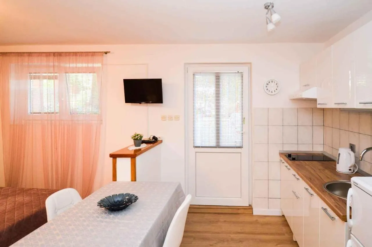 Studio In Stinjan/Istrien 17366